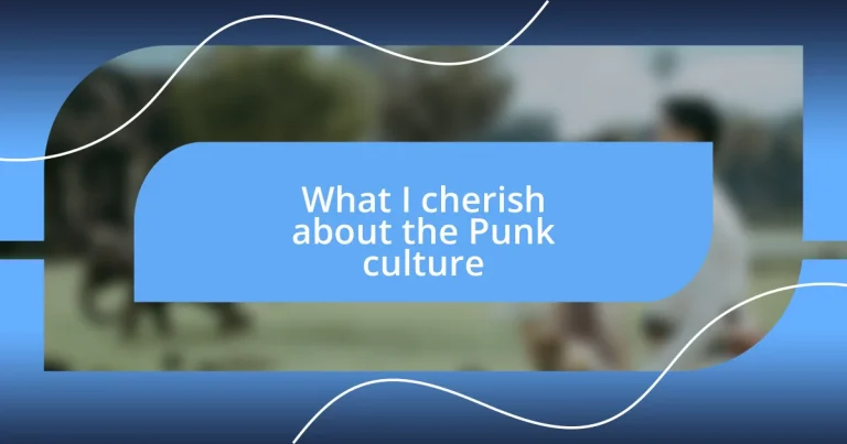 What I cherish about the Punk culture